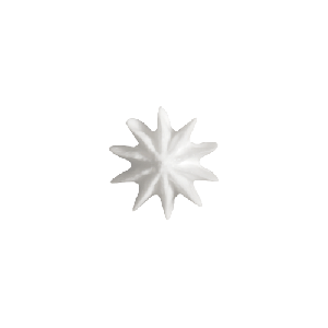 ŷθ