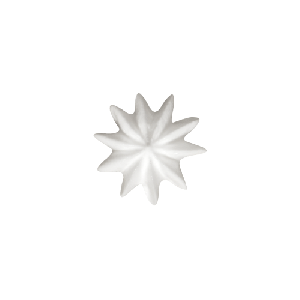 ŷθ